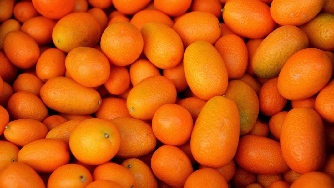 Kamkat çayıyla hastalıklara kapılmayın! Bu tarif sizi dipdiri yapacak 2